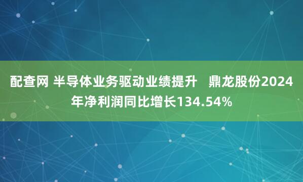 配查网 半导体业务驱动业绩提升   鼎龙股份2024年净利润同比增长134.54%