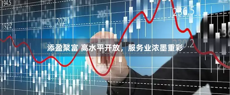添盈聚富 高水平开放，服务业浓墨重彩
