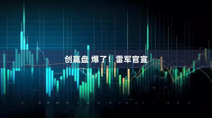 创赢盘 爆了！雷军官宣