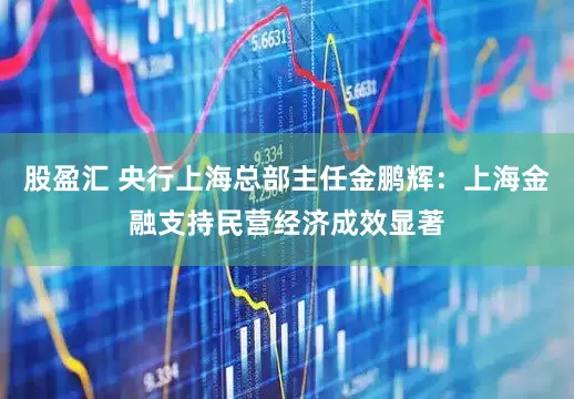 股盈汇 央行上海总部主任金鹏辉：上海金融支持民营经济成效显著
