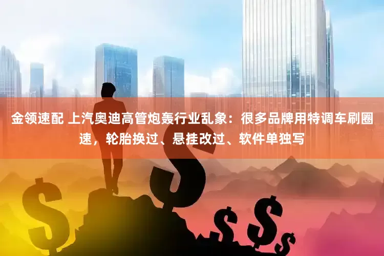 金领速配 上汽奥迪高管炮轰行业乱象：很多品牌用特调车刷圈速，轮胎换过、悬挂改过、软件单独写